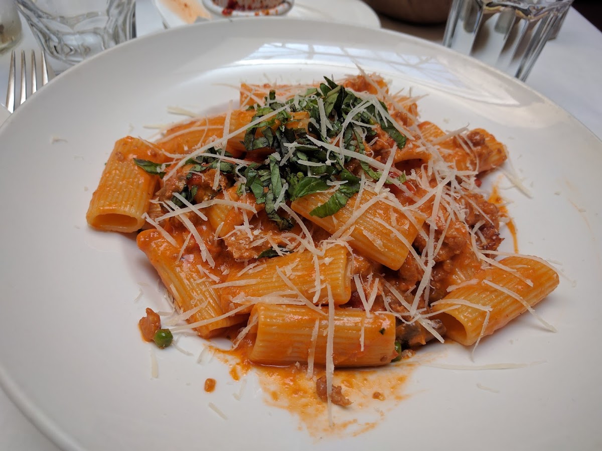 Sapore Italiano Ristorante photo 6